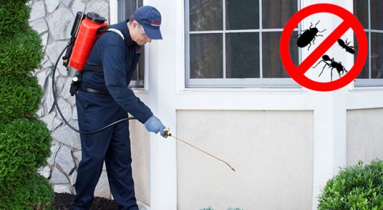 Lüleburgaz Dezenfeksiyon böcek ilaçlama ve haşere kontrolü — ilaclama-tr.com